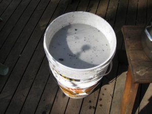 water-bucket
